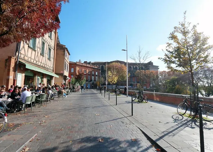 Riverside Apartament Tuluza