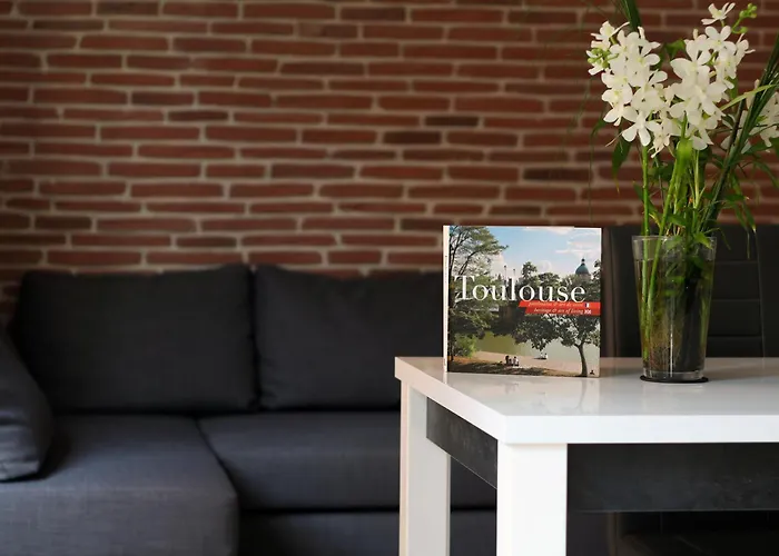 Riverside Apartament Tuluza